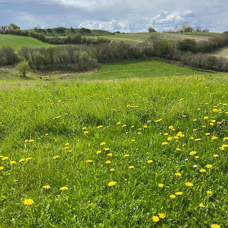 Hébergement de vacances Rinkenaeshus B *
